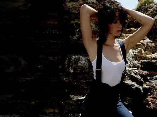 Lena Headey Wall Poster picture 145927