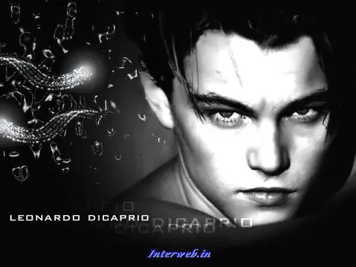 Leonardo DiCaprio Wall Poster picture 111169