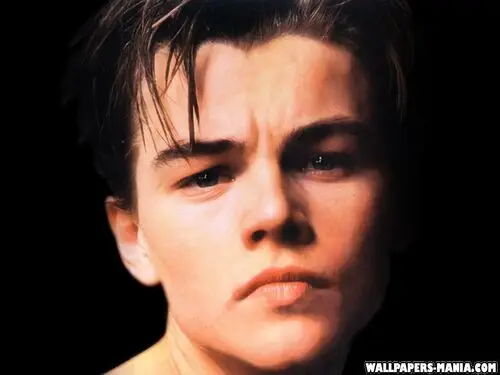 Leonardo DiCaprio Fridge Magnet picture 111174