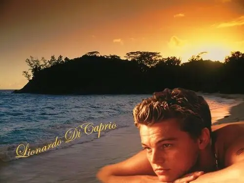 Leonardo DiCaprio Wall Poster picture 111181