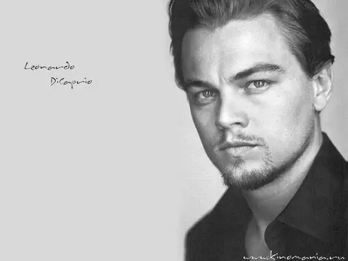 Leonardo DiCaprio Wall Poster picture 204223
