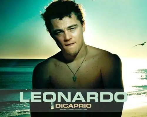 Leonardo DiCaprio Jigsaw Puzzle picture 204349