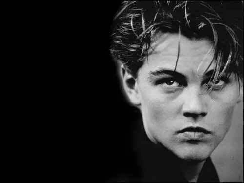 Leonardo DiCaprio Fridge Magnet picture 204389