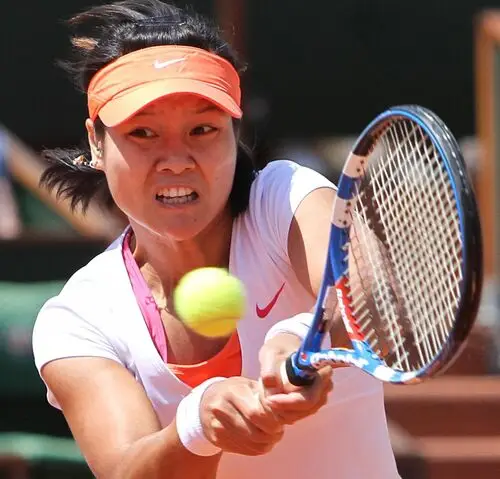 Li Na Wall Poster picture 218184