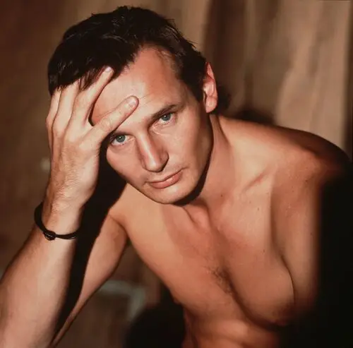 Liam Neeson Wall Poster picture 483737