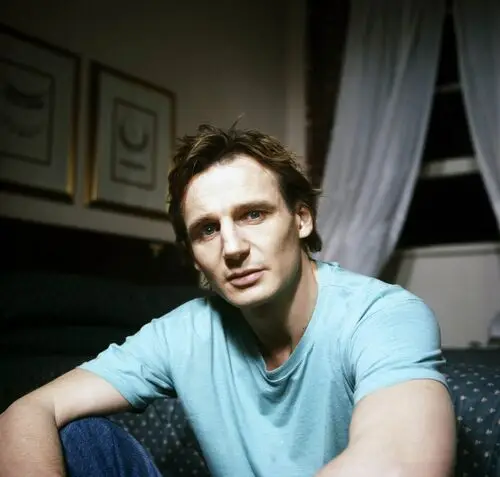 Liam Neeson Wall Poster picture 496931