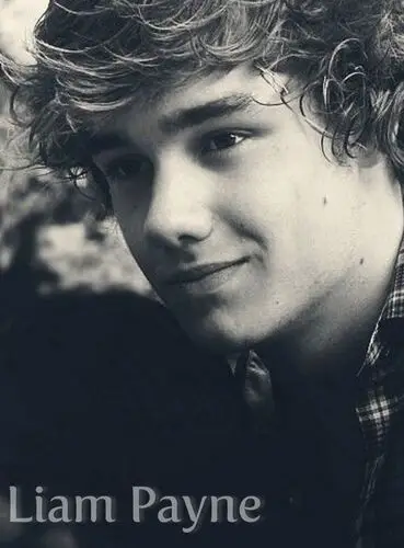 Liam Payne Jigsaw Puzzle picture 146283