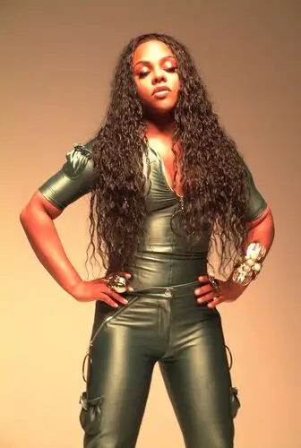 Lil Kim Jigsaw Puzzle picture 25965