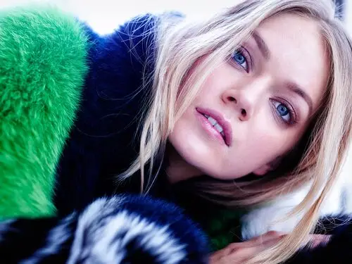 Lindsay Ellingson Wall Poster picture 457789