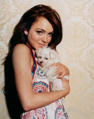 Lindsay Lohan Wall Poster picture 13381