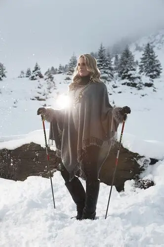 Lindsey Vonn Jigsaw Puzzle picture 365791