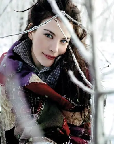 Liv Tyler Wall Poster picture 784907