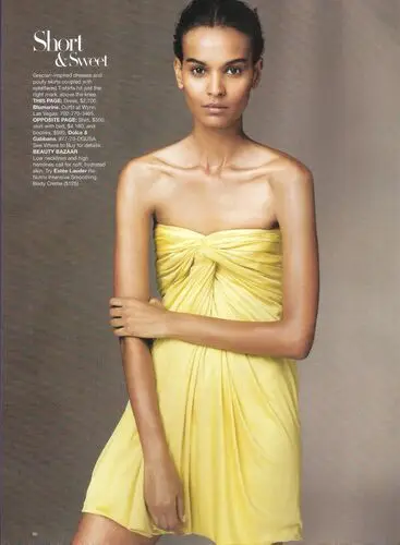 Liya Kebede Wall Poster picture 72098