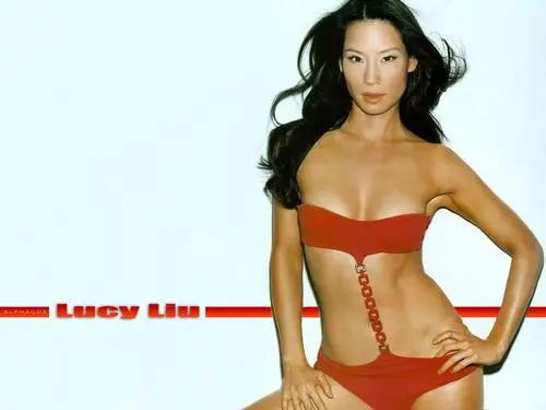 Lucy Liu Wall Poster picture 147443