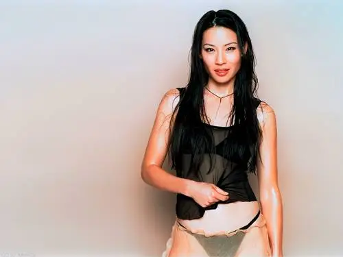 Lucy Liu Jigsaw Puzzle picture 147444