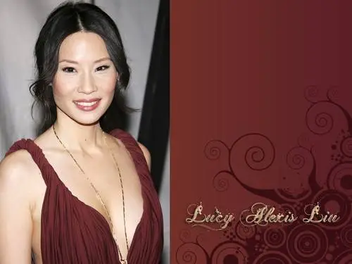 Lucy Liu Wall Poster picture 147465