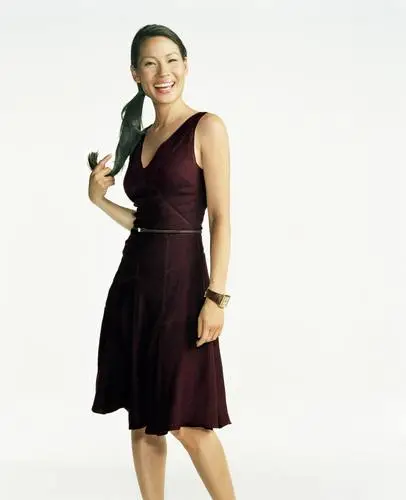 Lucy Liu Wall Poster picture 206411