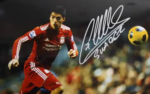 Luis Suarez Wall Poster picture 670124