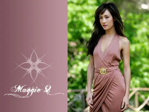 MAGGIE Q Wall Poster picture 180365