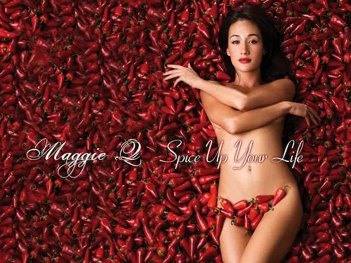 MAGGIE Q Wall Poster picture 180368