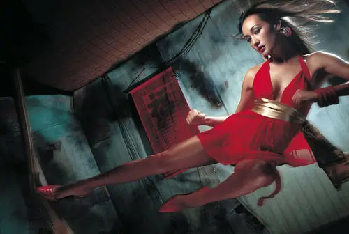 MAGGIE Q Wall Poster picture 41268