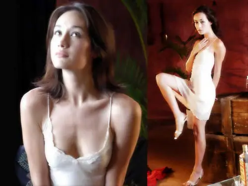 MAGGIE Q Jigsaw Puzzle picture 84380