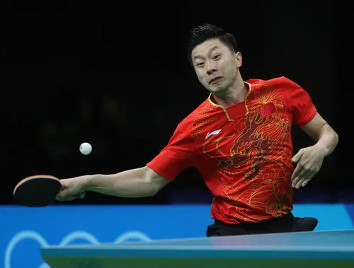 Ma Long Jigsaw Puzzle picture 538371