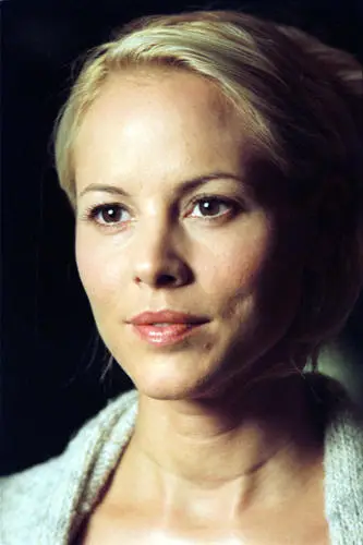 Maria Bello Wall Poster picture 41460