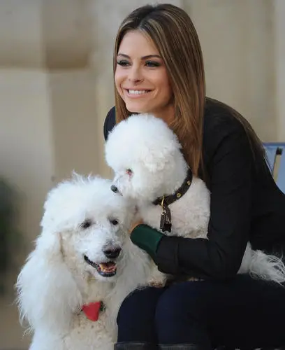 Maria Menounos Wall Poster picture 148007
