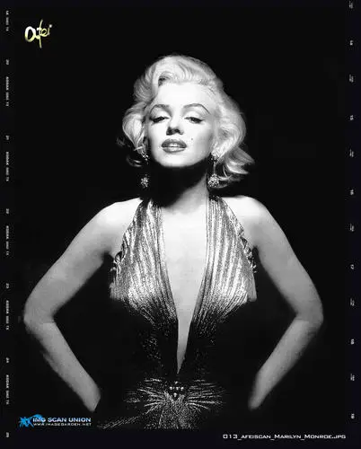 Marilyn Monroe Jigsaw Puzzle picture 14616