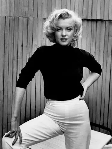 Marilyn Monroe Jigsaw Puzzle picture 14624