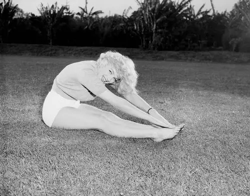 Marilyn Monroe Fridge Magnet picture 14659