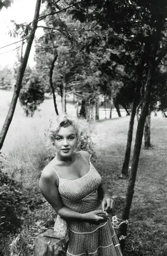 Marilyn Monroe Image Jpg picture 189200