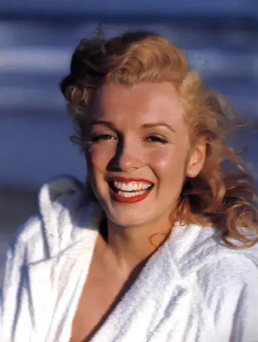 Marilyn Monroe Fridge Magnet picture 23262