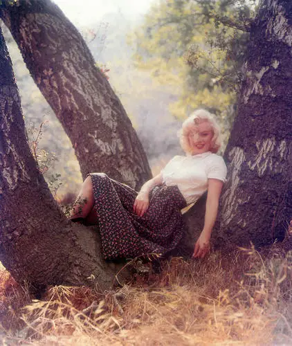 Marilyn Monroe Fridge Magnet picture 253809