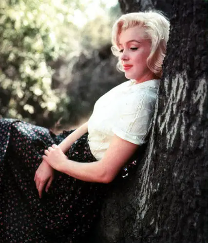 Marilyn Monroe Jigsaw Puzzle picture 253810