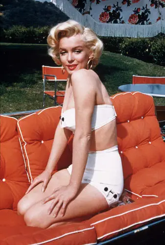 Marilyn Monroe Wall Poster picture 253813