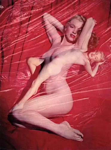Marilyn Monroe Fridge Magnet picture 253856