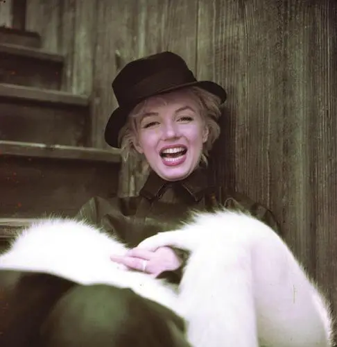 Marilyn Monroe Fridge Magnet picture 253897