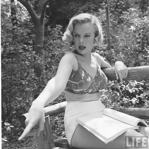 Marilyn Monroe Fridge Magnet picture 313742