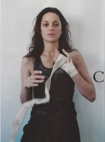 Marion Cotillard Wall Poster picture 181765