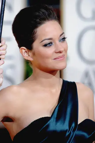 Marion Cotillard Wall Poster picture 51212