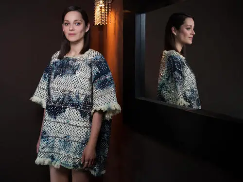 Marion Cotillard Wall Poster picture 797120