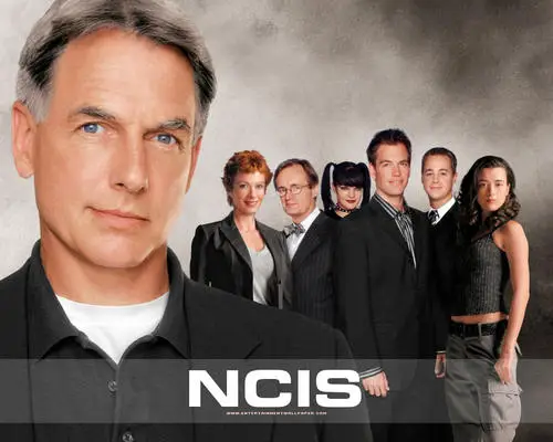 Mark Harmon Jigsaw Puzzle picture 88516