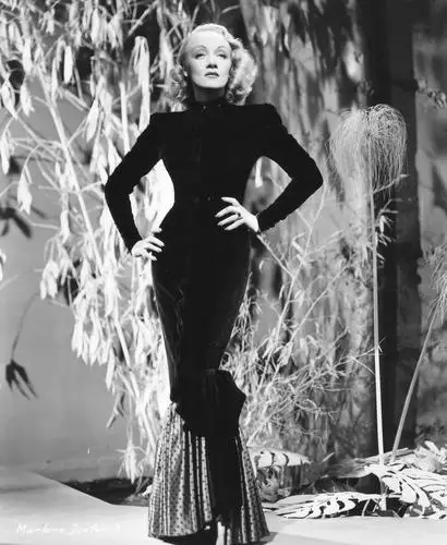 Marlene Dietrich Wall Poster picture 254083