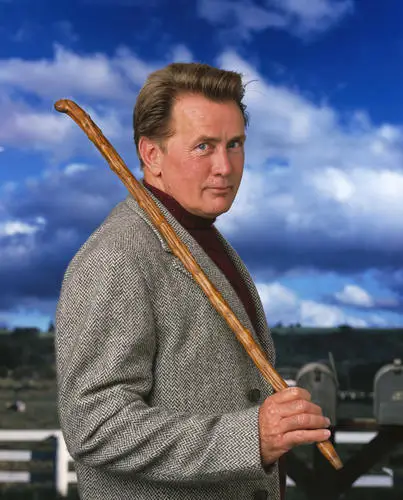 Martin Sheen Wall Poster picture 485113