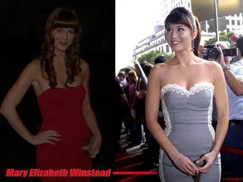 Mary Elizabeth Winstead Computer MousePad picture 181919