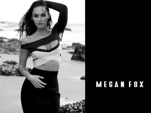 Megan Fox Fridge Magnet picture 182281