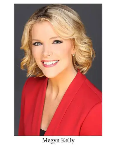 Megyn Kelly Wall Poster picture 314393