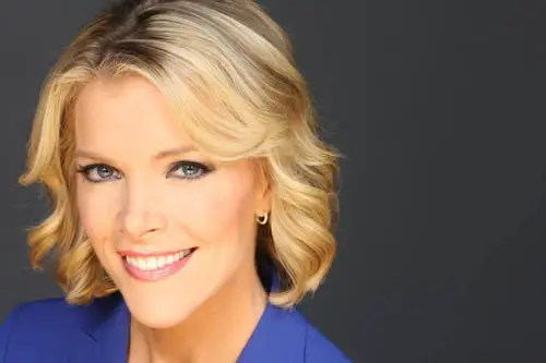 Megyn Kelly Wall Poster picture 314404
